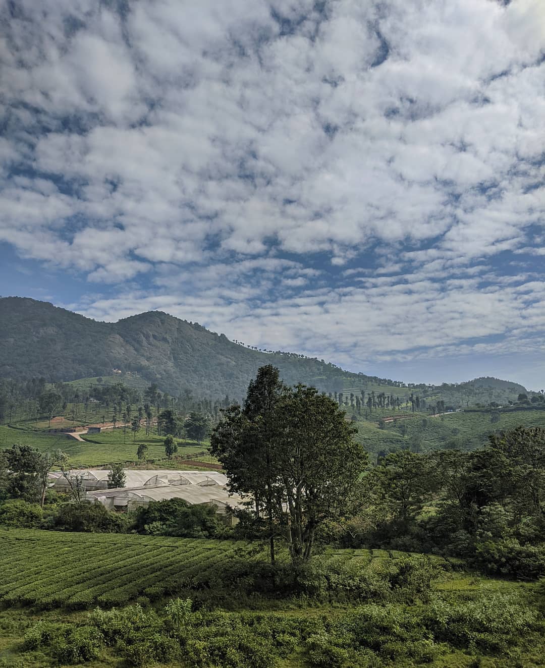 5 Best Hill Stations In Tamil Nadu Geek of Adventure