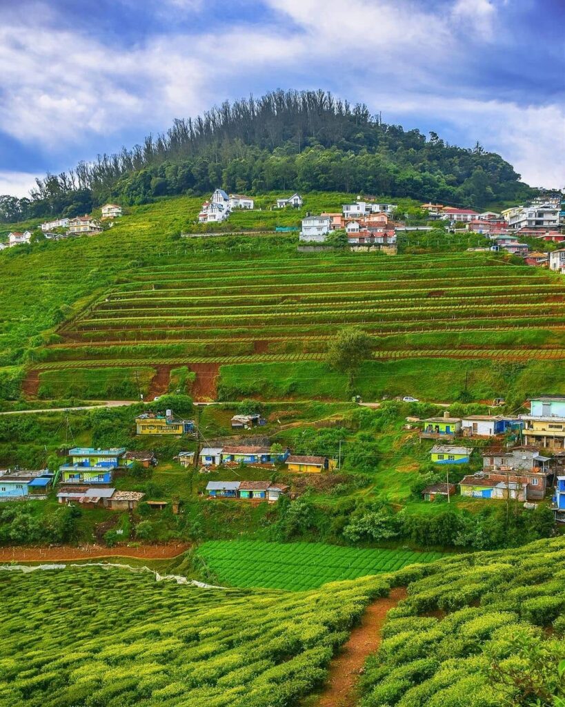 5 Best Hill Stations In Tamil Nadu Geek of Adventure