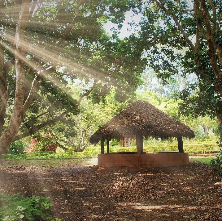 Araku Valley The Ooty of Andhrapradesh Geek of Adventure