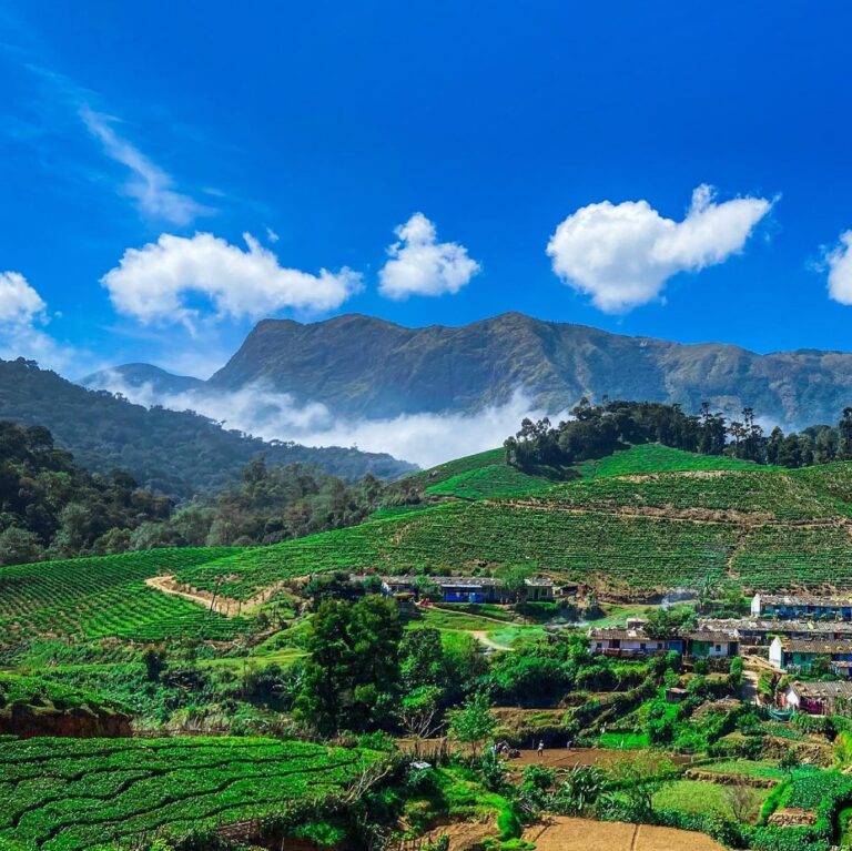 top 10 tourist attractions munnar