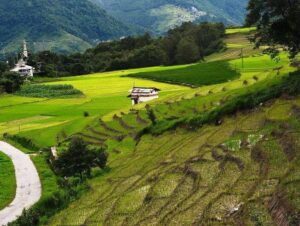 ziro arunachal pradesh tourist places