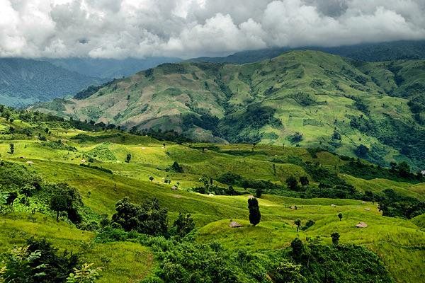 tourist place in ziro