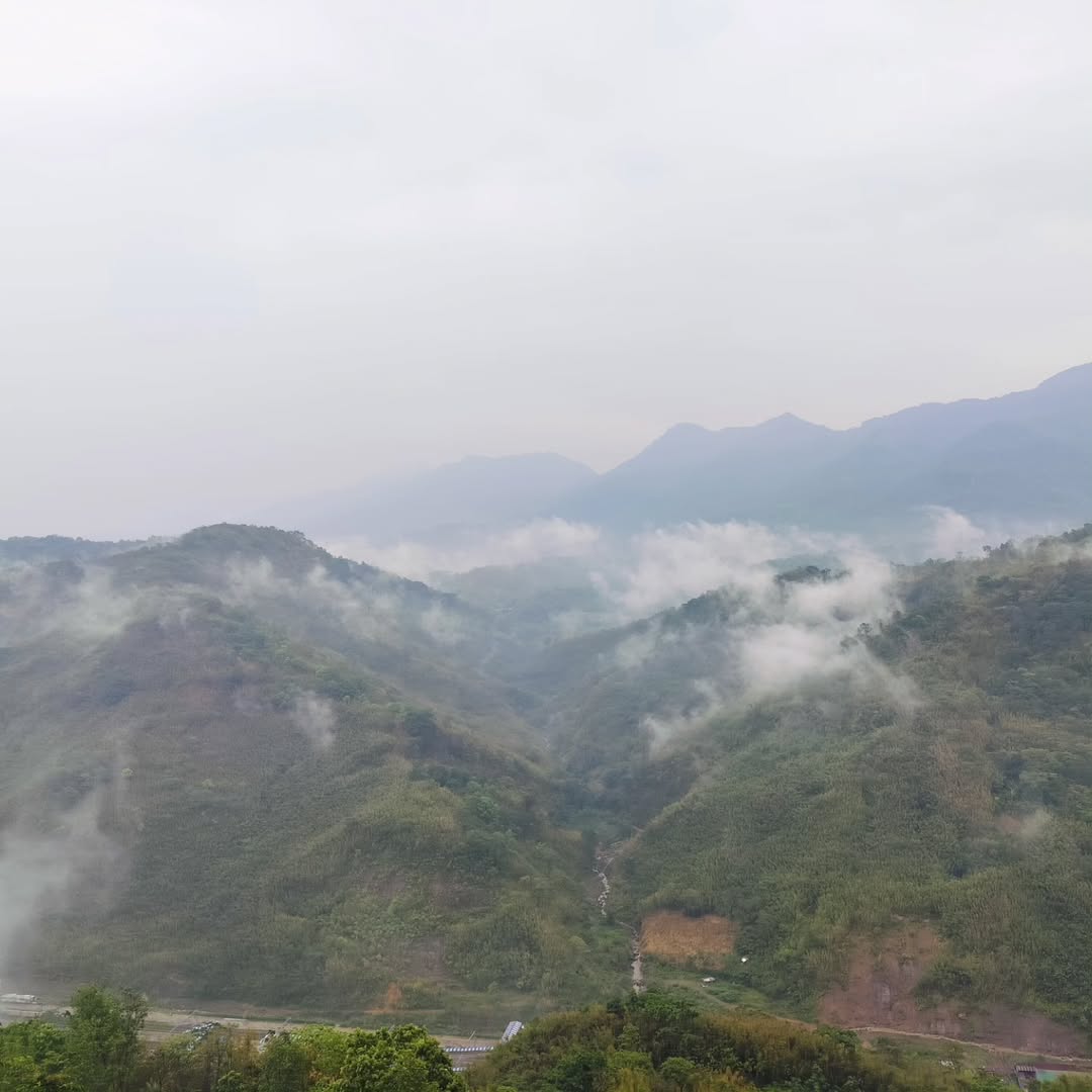 Jatinga: The Suicide point of Birds