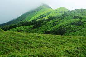 Tourist Places In Wayanad