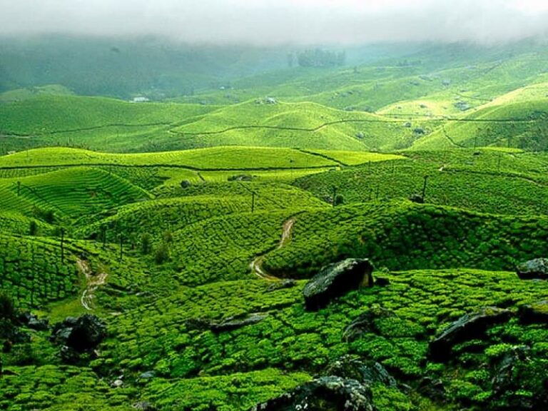 Top 12 Famous Tourist Places In Idukki - Geek of Adventure