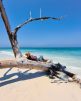 Andaman and Nicobar Islands