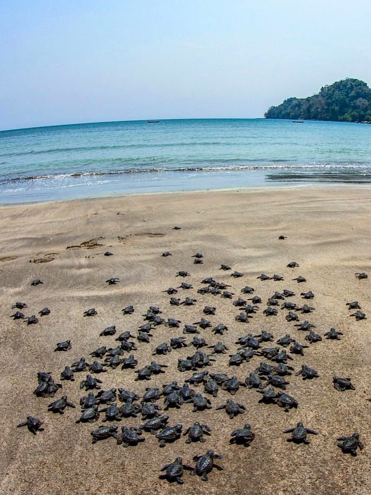 Kalipur Beach