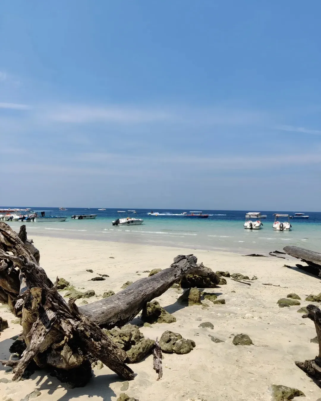 Elephant Beach
