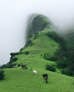 Hill Stations in Maharashtra