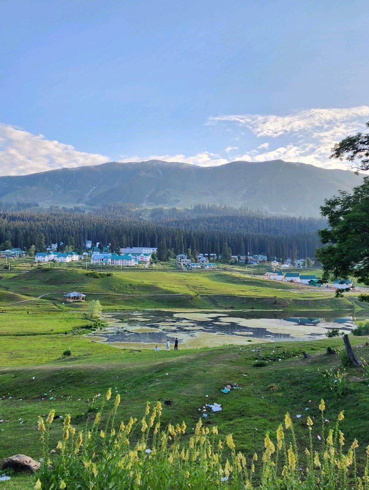 Best Time to Visit Gulmarg