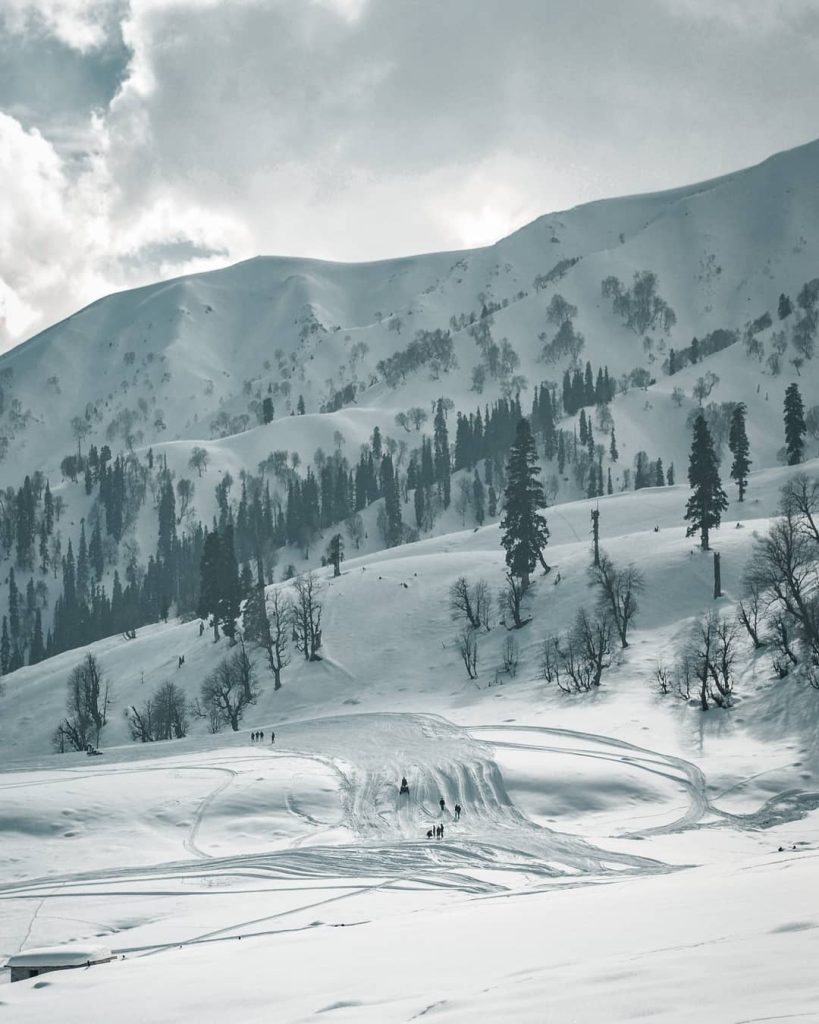 Gulmarg Wildlife Sanctuary