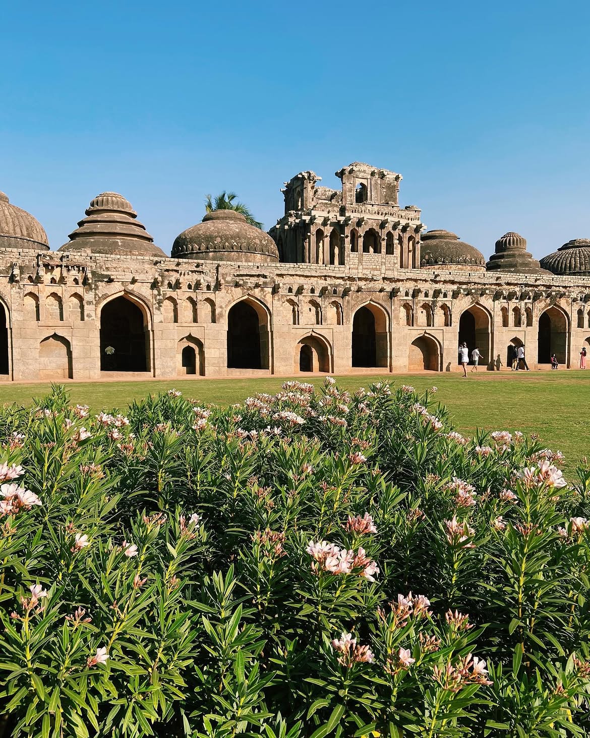 Elephanta Stable