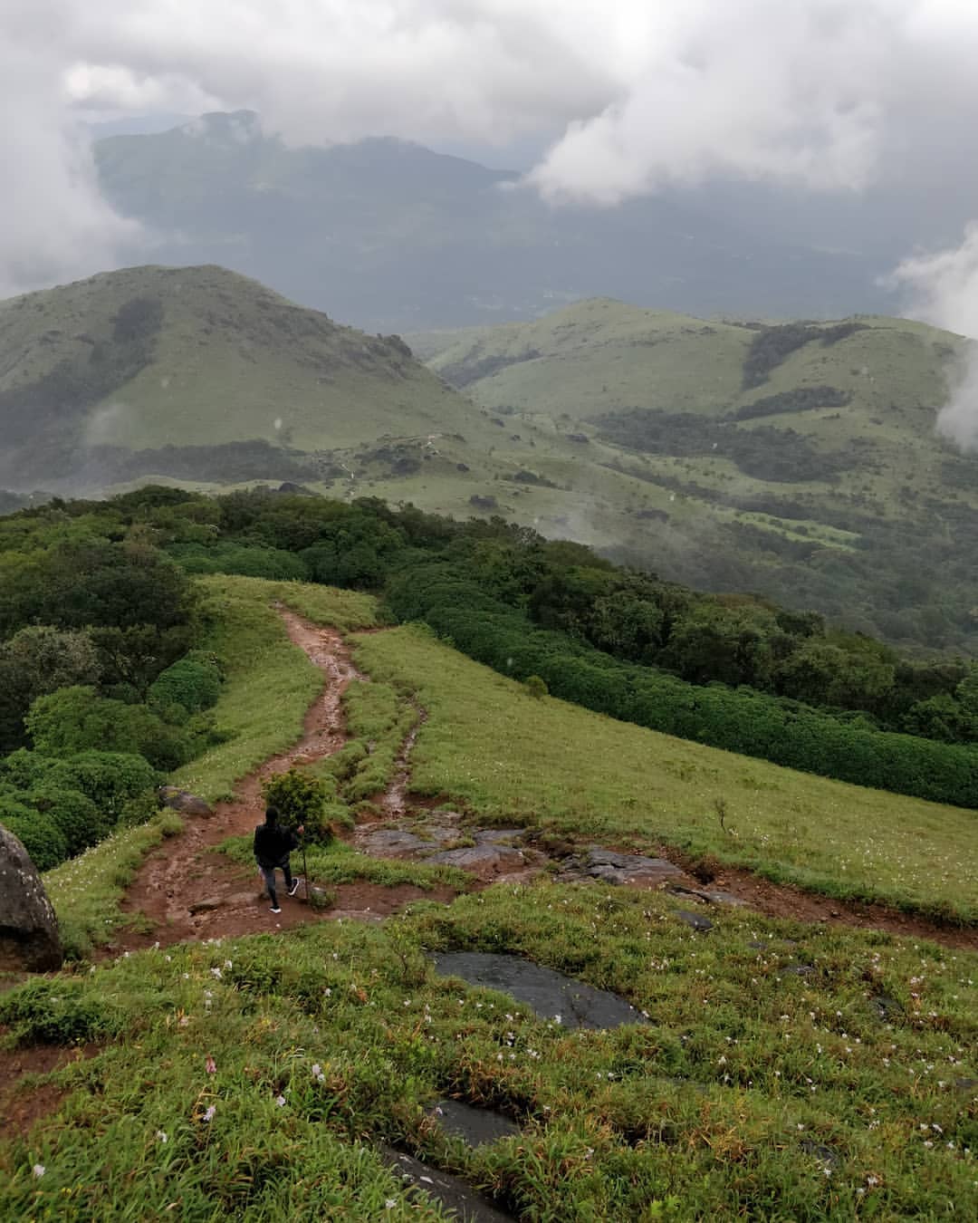 Tadiandamol Trek