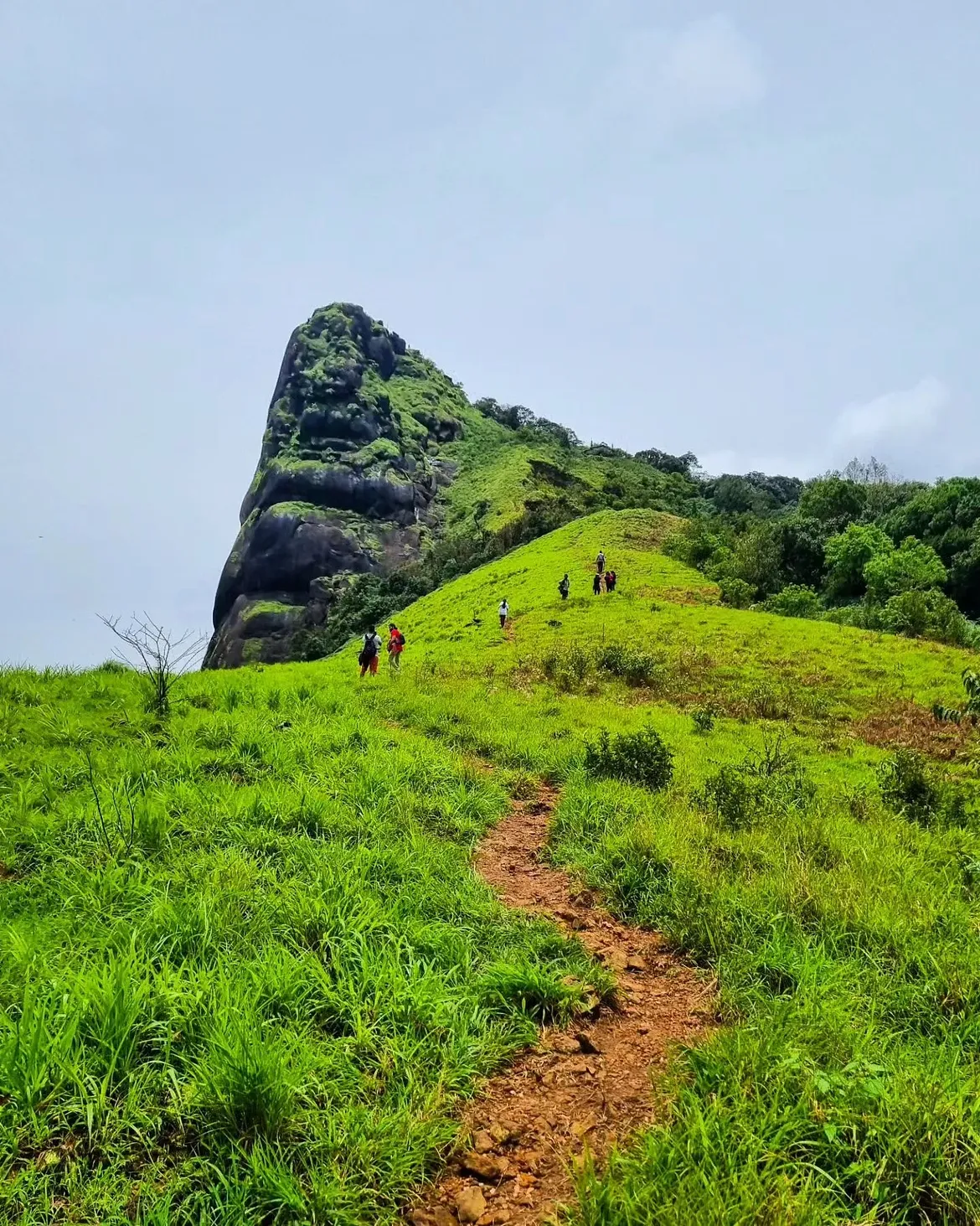 Green mountain landscape on the Kudremukh Trek in Karnataka
