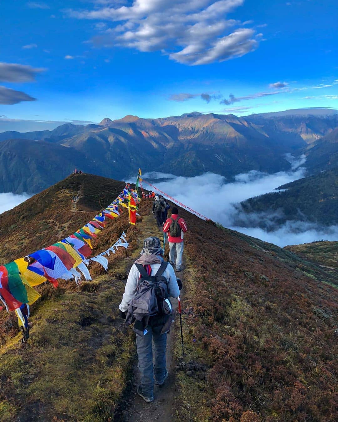 Himalayan peaks viewed from Dzongri Trek in Sikkim
